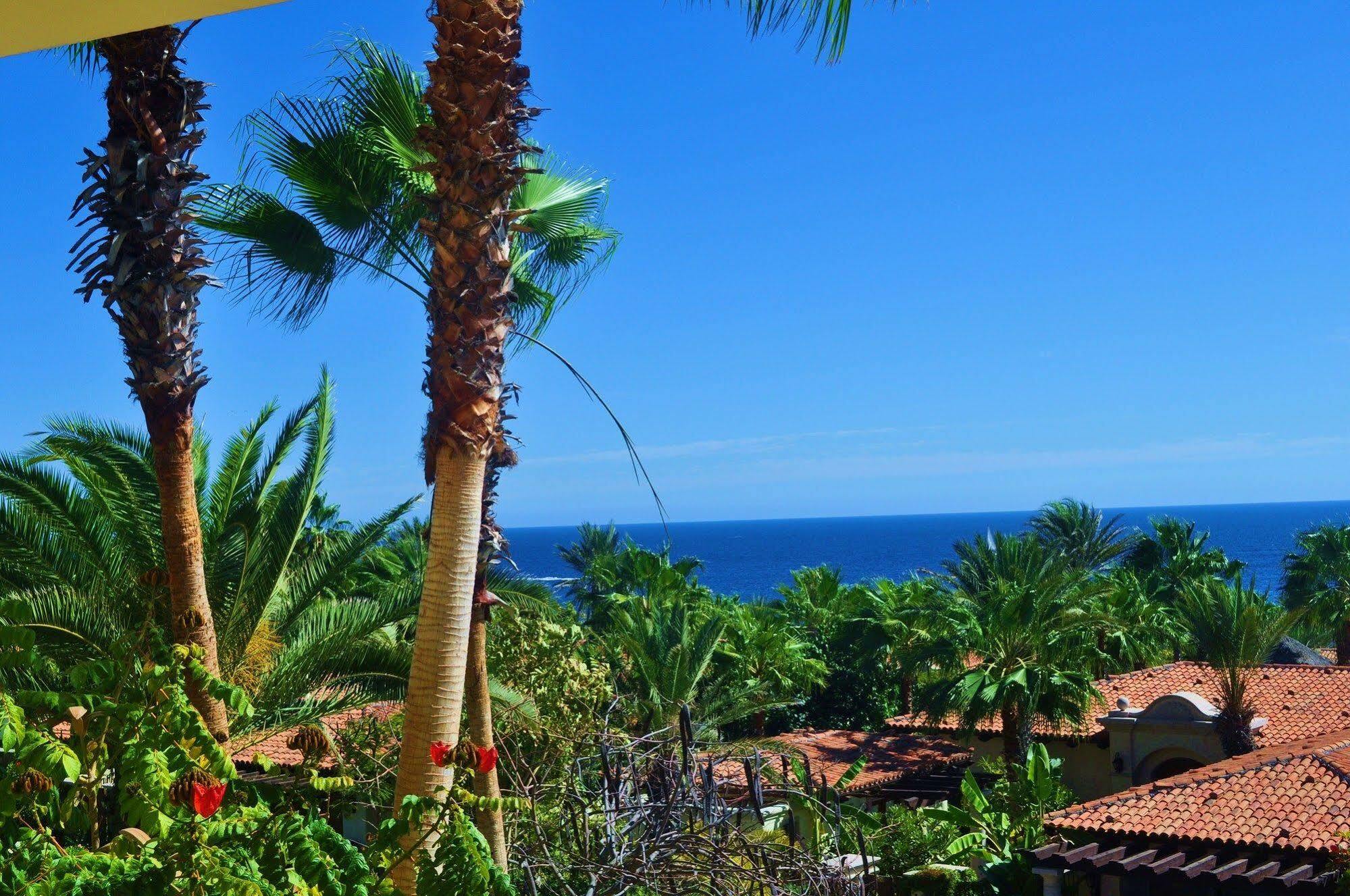 Villa Lucero Cabo San Lucas Dış mekan fotoğraf